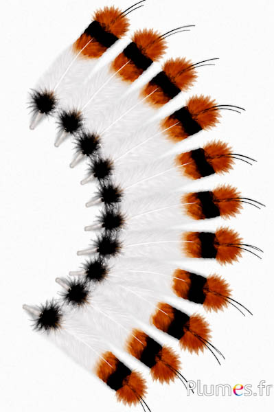 Gans - indianenveer - 30-35 cm - wit-zwart-azteeks goud